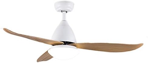 AUNEVN Mennyezeti Lámpa Mennyezeti ventilátor a Lámpa Északi Étterem Mennyezeti Ventilátor Fény Modern Minimalista Otthon